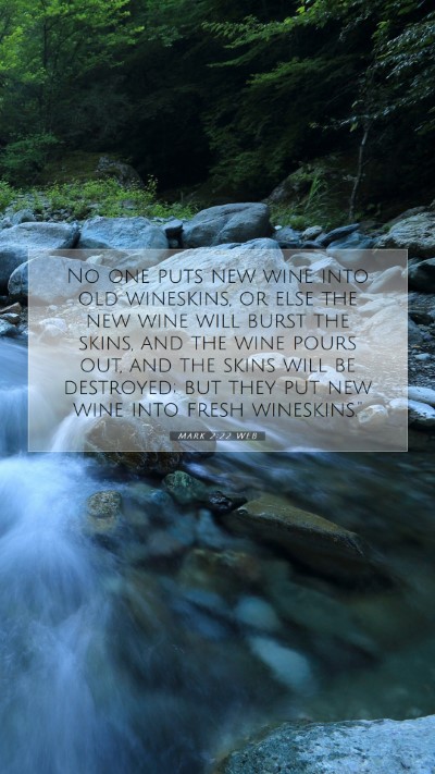 Picture 07 - Mark 2:22 WEB Mobile Phone Wallpaper - No one puts new wine into old wineskins, or else - Mobile Bible Verse Wallpaper