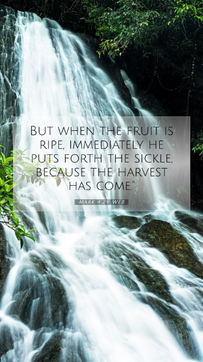 Picture 07 - Mark 4:29 WEB Mobile Phone Wallpaper - But when the fruit is ripe, immediately he puts - Mobile Bible Verse Wallpaper