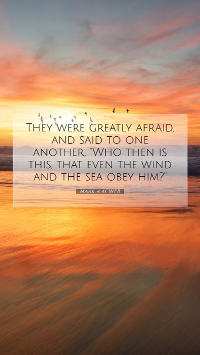 Picture 07 - Mark 4:41 WEB Mobile Phone Wallpaper - They were greatly afraid, and said to one - Mobile Bible Verse Wallpaper