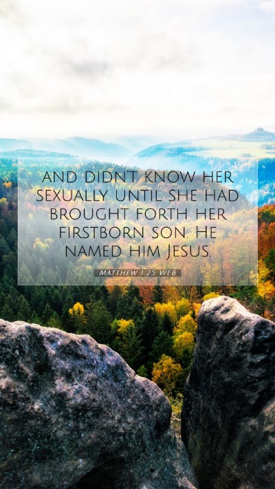 Picture 07 - Matthew 1:25 WEB Mobile Phone Wallpaper - and didn't know her sexually until she had - Mobile Bible Verse Wallpaper