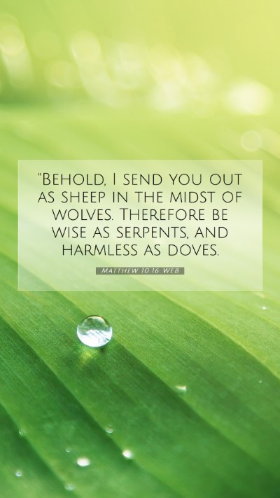 Picture 07 - Matthew 10:16 WEB Mobile Phone Wallpaper - 