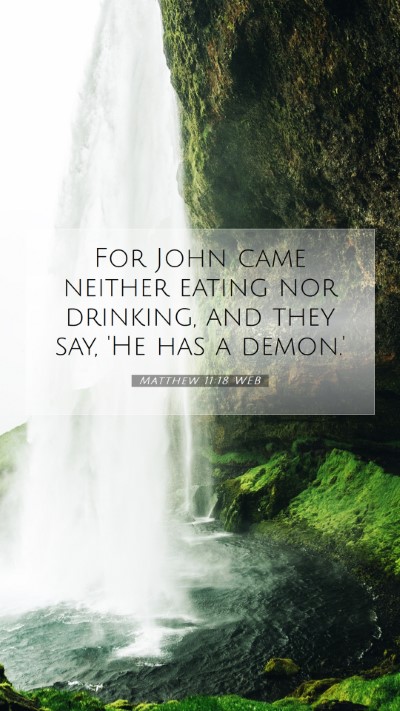 Picture 07 - Matthew 11:18 WEB Mobile Phone Wallpaper - For John came neither eating nor drinking, and - Mobile Bible Verse Wallpaper