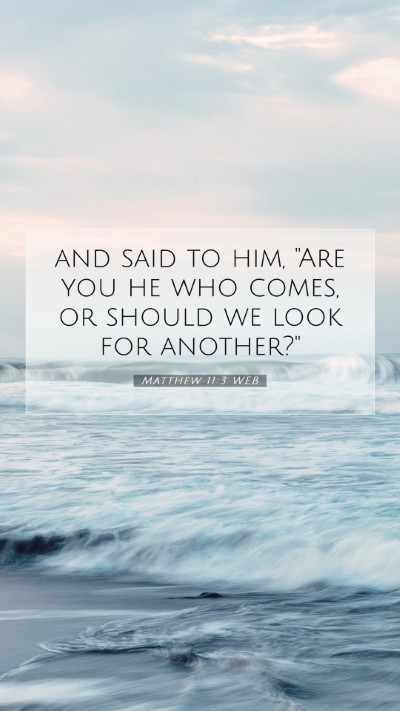 Picture 07 - Matthew 11:3 WEB Mobile Phone Wallpaper - and said to him, 