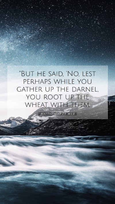 Picture 07 - Matthew 13:29 WEB Mobile Phone Wallpaper - 