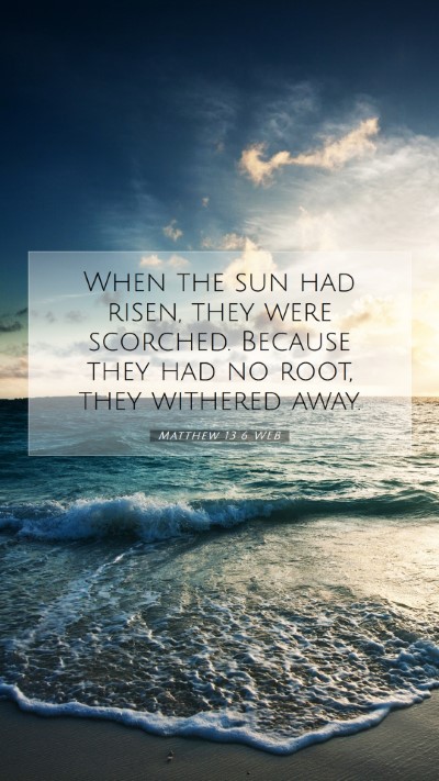 Picture 07 - Matthew 13:6 WEB Mobile Phone Wallpaper - When the sun had risen, they were scorched. - Mobile Bible Verse Wallpaper