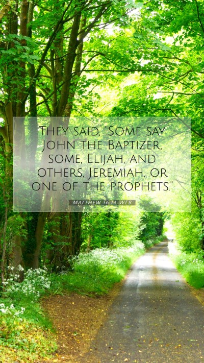 Picture 07 - Matthew 16:14 WEB Mobile Phone Wallpaper - They said, 