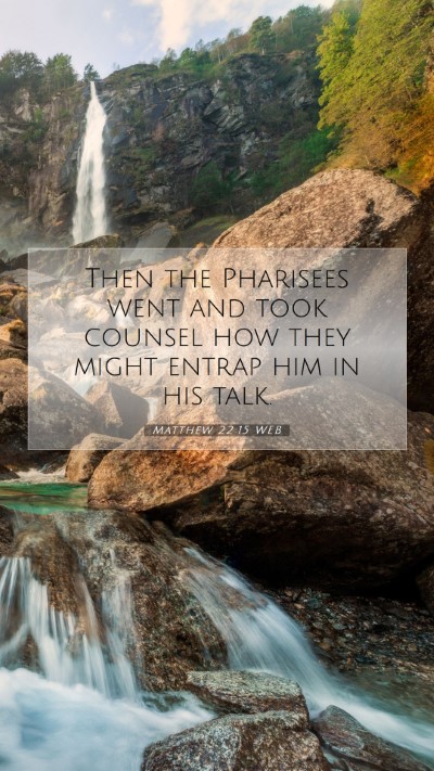 Picture 07 - Matthew 22:15 WEB Mobile Phone Wallpaper - Then the Pharisees went and took counsel how they - Mobile Bible Verse Wallpaper