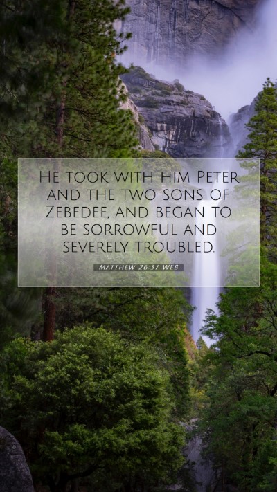 Picture 07 - Matthew 26:37 WEB Mobile Phone Wallpaper - He took with him Peter and the two sons of - Mobile Bible Verse Wallpaper
