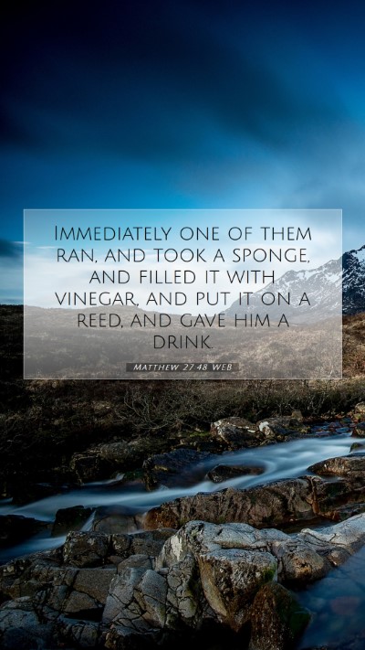 Picture 07 - Matthew 27:48 WEB Mobile Phone Wallpaper - Immediately one of them ran, and took a sponge, - Mobile Bible Verse Wallpaper