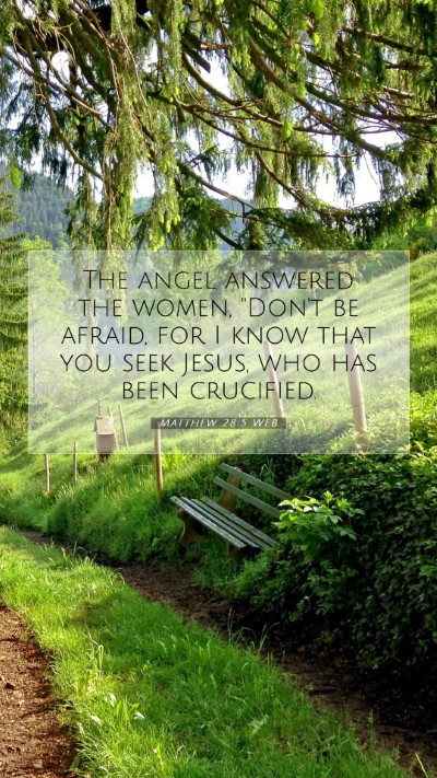 Picture 07 - Matthew 28:5 WEB Mobile Phone Wallpaper - The angel answered the women, 
