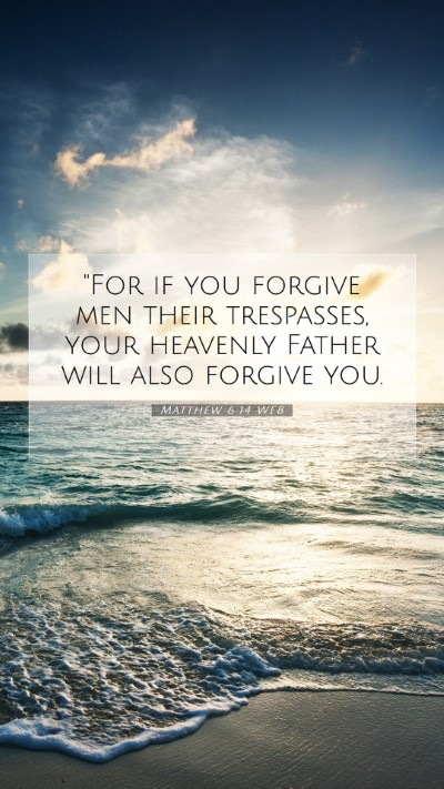 Picture 07 - Matthew 6:14 WEB Mobile Phone Wallpaper - 