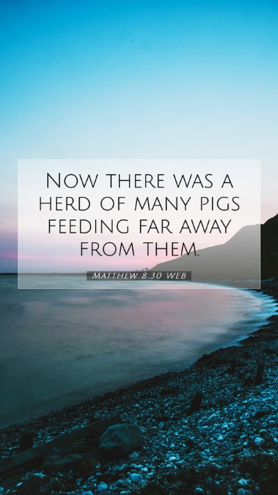 Picture 07 - Matthew 8:30 WEB Mobile Phone Wallpaper - Now there was a herd of many pigs feeding far - Mobile Bible Verse Wallpaper