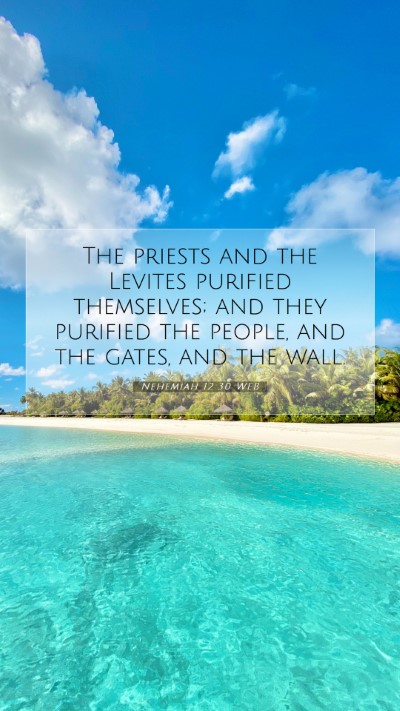 Picture 07 - Nehemiah 12:30 WEB Mobile Phone Wallpaper - The priests and the Levites purified themselves; - Mobile Bible Verse Wallpaper