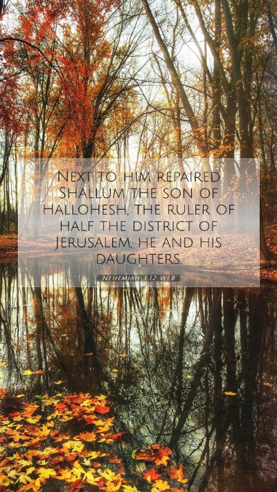Picture 07 - Nehemiah 3:12 WEB Mobile Phone Wallpaper - Next to him repaired Shallum the son of - Mobile Bible Verse Wallpaper