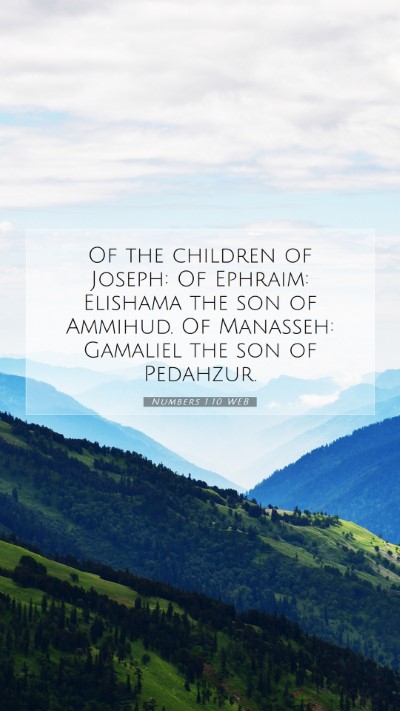 Picture 07 - Numbers 1:10 WEB Mobile Phone Wallpaper - Of the children of Joseph: Of Ephraim: Elishama - Mobile Bible Verse Wallpaper
