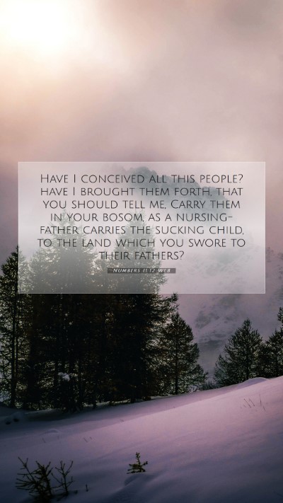 Picture 07 - Numbers 11:12 WEB Mobile Phone Wallpaper - Have I conceived all this people? have I brought - Mobile Bible Verse Wallpaper