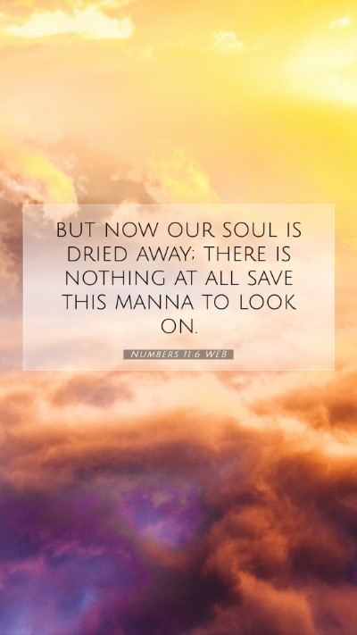 Picture 07 - Numbers 11:6 WEB Mobile Phone Wallpaper - but now our soul is dried away; there is nothing - Mobile Bible Verse Wallpaper