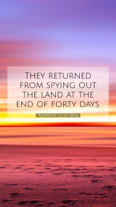 Picture 07 - Numbers 13:25 WEB Mobile Phone Wallpaper - They returned from spying out the land at the end - Mobile Bible Verse Wallpaper