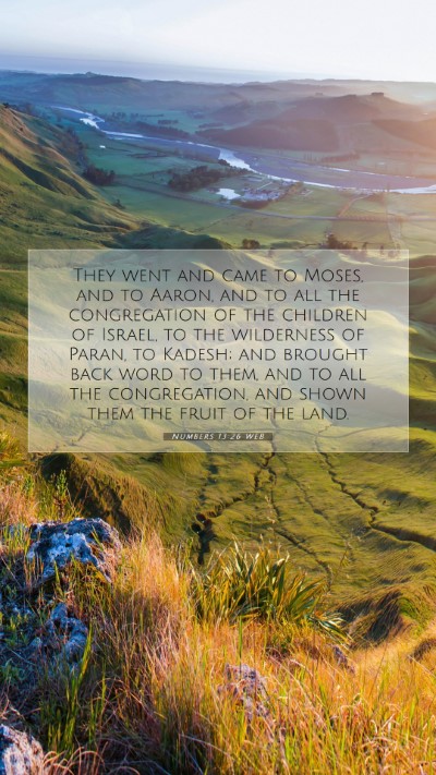 Picture 07 - Numbers 13:26 WEB Mobile Phone Wallpaper - They went and came to Moses, and to Aaron, and to - Mobile Bible Verse Wallpaper