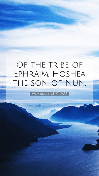 Picture 07 - Numbers 13:8 WEB Mobile Phone Wallpaper - Of the tribe of Ephraim, Hoshea the son of - Mobile Bible Verse Wallpaper