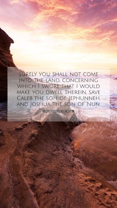 Picture 07 - Numbers 14:30 WEB Mobile Phone Wallpaper - surely you shall not come into the land, - Mobile Bible Verse Wallpaper
