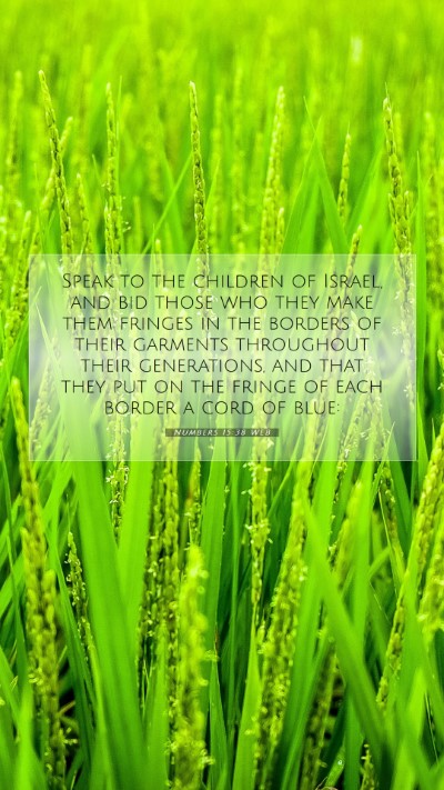Picture 07 - Numbers 15:38 WEB Mobile Phone Wallpaper - Speak to the children of Israel, and bid those - Mobile Bible Verse Wallpaper