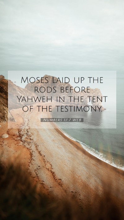 Picture 07 - Numbers 17:7 WEB Mobile Phone Wallpaper - Moses laid up the rods before Yahweh in the tent - Mobile Bible Verse Wallpaper