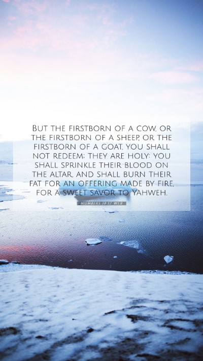 Picture 07 - Numbers 18:17 WEB Mobile Phone Wallpaper - But the firstborn of a cow, or the firstborn of a - Mobile Bible Verse Wallpaper