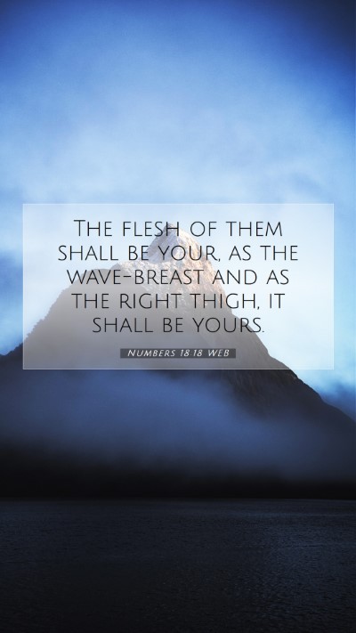 Picture 07 - Numbers 18:18 WEB Mobile Phone Wallpaper - The flesh of them shall be your, as the - Mobile Bible Verse Wallpaper