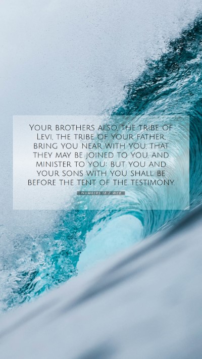 Picture 07 - Numbers 18:2 WEB Mobile Phone Wallpaper - Your brothers also, the tribe of Levi, the tribe - Mobile Bible Verse Wallpaper