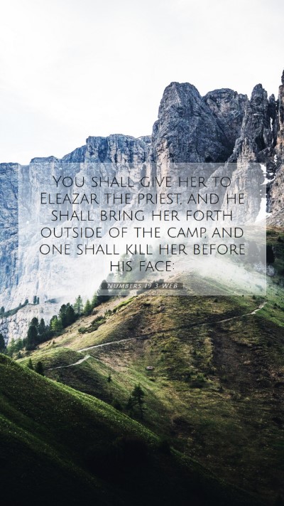 Picture 07 - Numbers 19:3 WEB Mobile Phone Wallpaper - You shall give her to Eleazar the priest, and he - Mobile Bible Verse Wallpaper