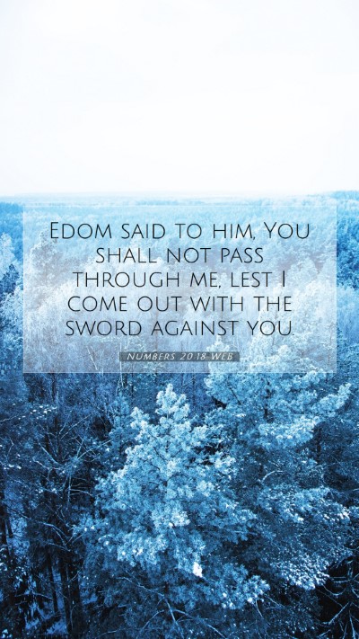 Picture 07 - Numbers 20:18 WEB Mobile Phone Wallpaper - Edom said to him, You shall not pass through me, - Mobile Bible Verse Wallpaper