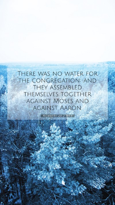 Picture 07 - Numbers 20:2 WEB Mobile Phone Wallpaper - There was no water for the congregation: and they - Mobile Bible Verse Wallpaper
