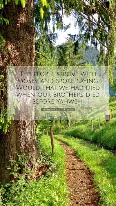 Picture 07 - Numbers 20:3 WEB Mobile Phone Wallpaper - The people strove with Moses, and spoke, saying, - Mobile Bible Verse Wallpaper