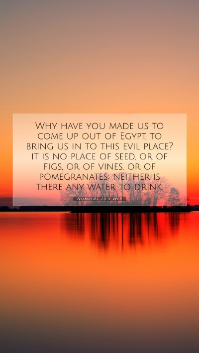 Picture 07 - Numbers 20:5 WEB Mobile Phone Wallpaper - Why have you made us to come up out of Egypt, to - Mobile Bible Verse Wallpaper