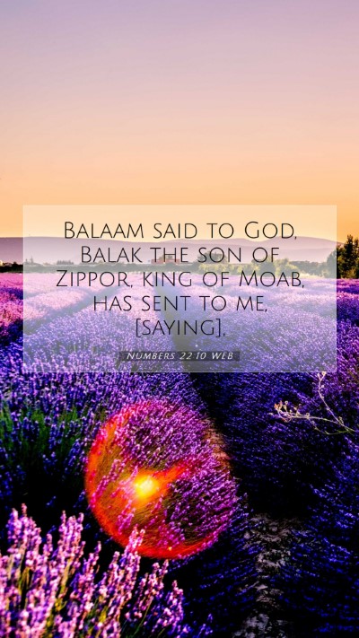Picture 07 - Numbers 22:10 WEB Mobile Phone Wallpaper - Balaam said to God, Balak the son of Zippor, king - Mobile Bible Verse Wallpaper