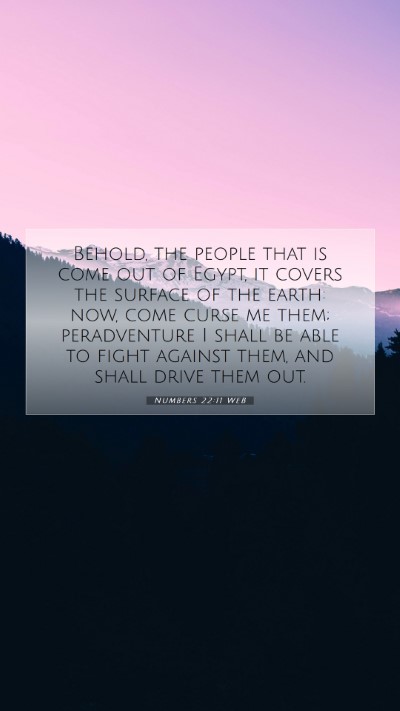 Picture 07 - Numbers 22:11 WEB Mobile Phone Wallpaper - Behold, the people that is come out of Egypt, it - Mobile Bible Verse Wallpaper