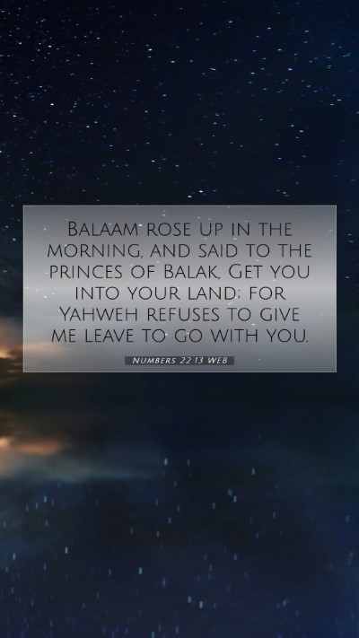 Picture 07 - Numbers 22:13 WEB Mobile Phone Wallpaper - Balaam rose up in the morning, and said to the - Mobile Bible Verse Wallpaper