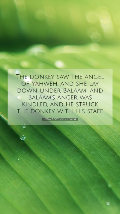 Picture 07 - Numbers 22:27 WEB Mobile Phone Wallpaper - The donkey saw the angel of Yahweh, and she lay - Mobile Bible Verse Wallpaper
