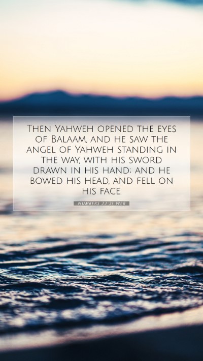 Picture 07 - Numbers 22:31 WEB Mobile Phone Wallpaper - Then Yahweh opened the eyes of Balaam, and he saw - Mobile Bible Verse Wallpaper