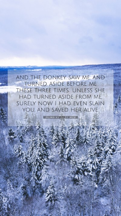 Picture 07 - Numbers 22:33 WEB Mobile Phone Wallpaper - and the donkey saw me, and turned aside before me - Mobile Bible Verse Wallpaper