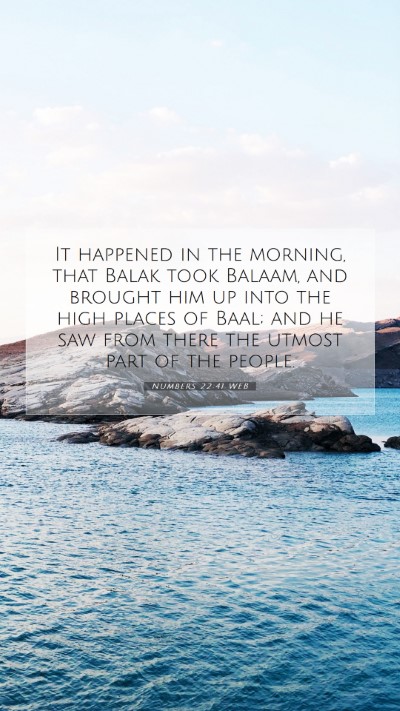 Picture 07 - Numbers 22:41 WEB Mobile Phone Wallpaper - It happened in the morning, that Balak took - Mobile Bible Verse Wallpaper
