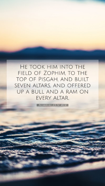 Picture 07 - Numbers 23:14 WEB Mobile Phone Wallpaper - He took him into the field of Zophim, to the top - Mobile Bible Verse Wallpaper