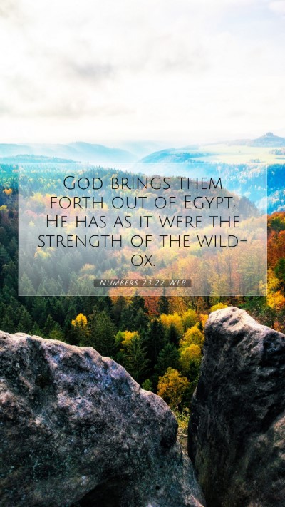 Picture 07 - Numbers 23:22 WEB Mobile Phone Wallpaper - God brings them forth out of Egypt; He has as it - Mobile Bible Verse Wallpaper