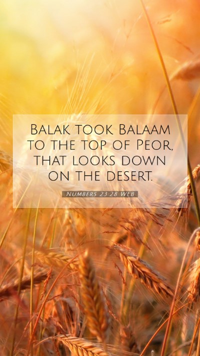 Picture 07 - Numbers 23:28 WEB Mobile Phone Wallpaper - Balak took Balaam to the top of Peor, that looks - Mobile Bible Verse Wallpaper