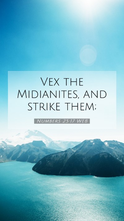 Picture 07 - Numbers 25:17 WEB Mobile Phone Wallpaper - Vex the Midianites, and strike - Mobile Bible Verse Wallpaper