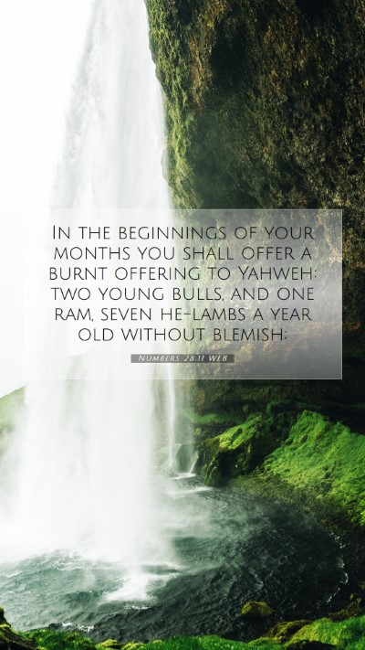 Picture 07 - Numbers 28:11 WEB Mobile Phone Wallpaper - In the beginnings of your months you shall offer - Mobile Bible Verse Wallpaper