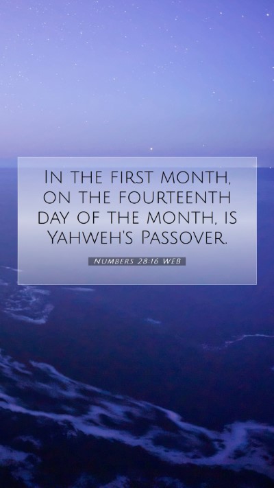 Picture 07 - Numbers 28:16 WEB Mobile Phone Wallpaper - In the first month, on the fourteenth day of the - Mobile Bible Verse Wallpaper