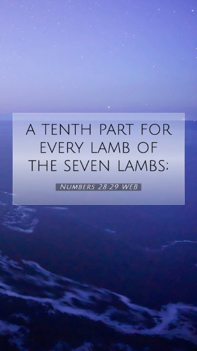 Picture 07 - Numbers 28:29 WEB Mobile Phone Wallpaper - a tenth part for every lamb of the seven - Mobile Bible Verse Wallpaper