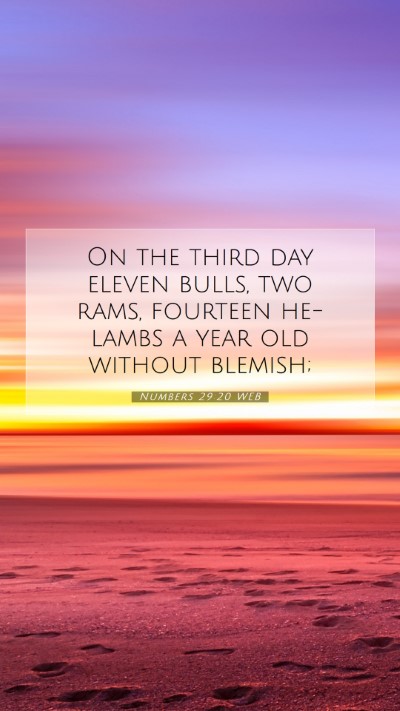 Picture 07 - Numbers 29:20 WEB Mobile Phone Wallpaper - On the third day eleven bulls, two rams, fourteen - Mobile Bible Verse Wallpaper